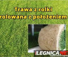 Trawa z rolki, rolowana z położeniem