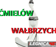 KUPIĘ FIGURKI ĆMIELÓW,WAŁBRZYCH,CHODZIEŻ,MIŚNIA TELEFON 694972047 - 1