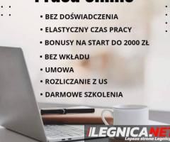 Praca stała lub dodatkowa zdalna, w domu, przez internet - 1